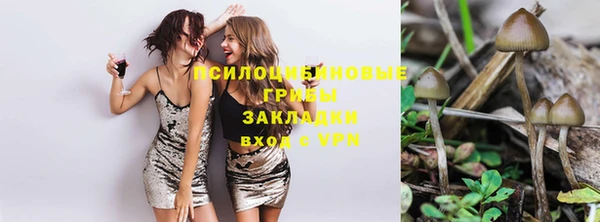 а пвп мука Армянск