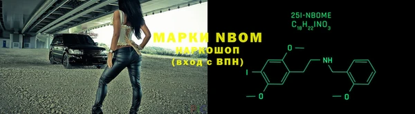 прущие грибы Арсеньев