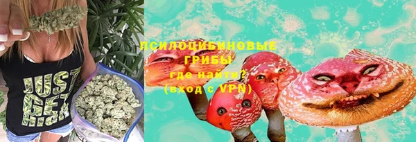 прущие грибы Арсеньев