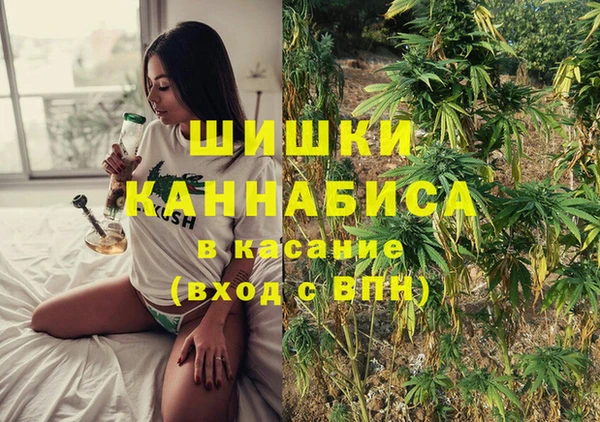 прущие грибы Арсеньев