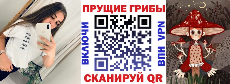 Псилоцибиновые грибы ЛСД Верея